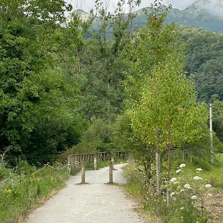 La Ventana Y El Ciervu *