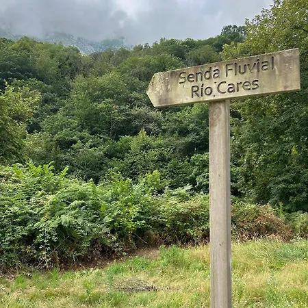 La Ventana Y El Ciervu Διαμέρισμα Arenas De Cabrales