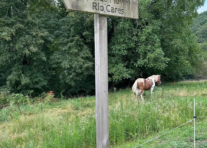 Appartement La Ventana Y El Ciervu