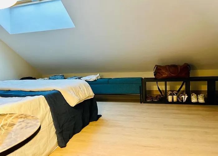 La Ventana Y El Ciervu